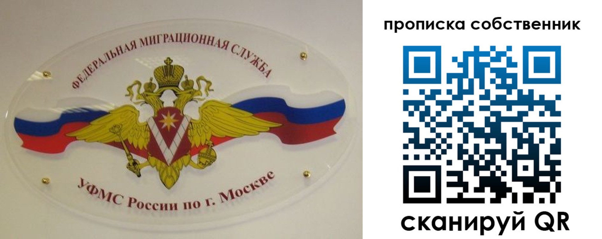 прописка 2025 в Шелехове